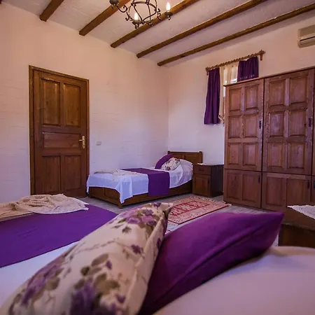 Ruzgar Villa Odemis